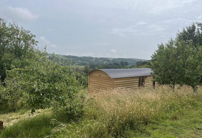Woodpecker Hill   Apple Orchard In Alfriston