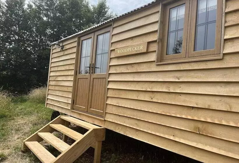 Woodpecker Hill   Apple Orchard In Alfriston