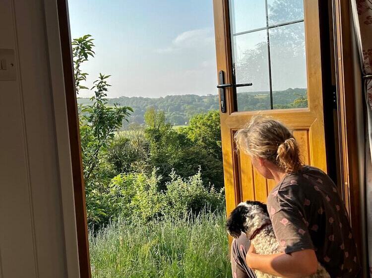 Woodpecker Hill   Apple Orchard In Alfriston