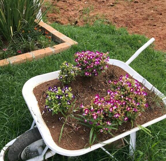 Hostel Pousada Vison