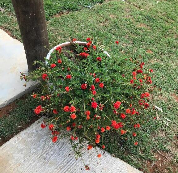 Hostel Pousada Vison