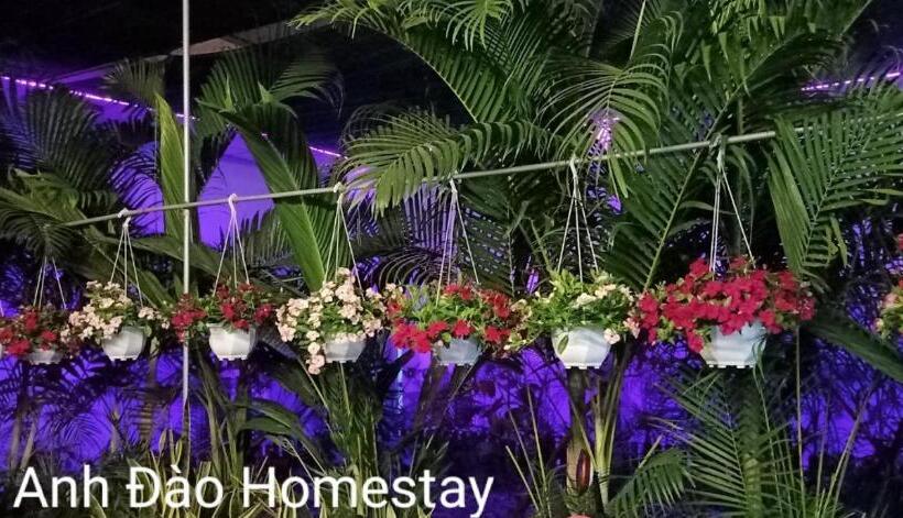 تختخواب و صبحانه Motel Minh Tâm 28