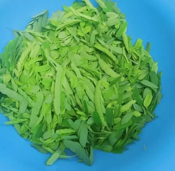 تختخواب و صبحانه Motel Minh Tâm 28