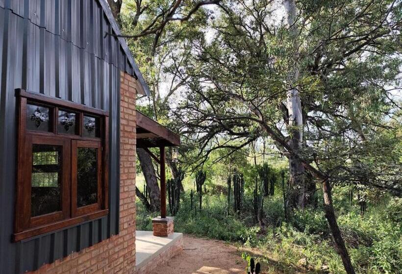 酒店 Bethesda Mountain Lodge