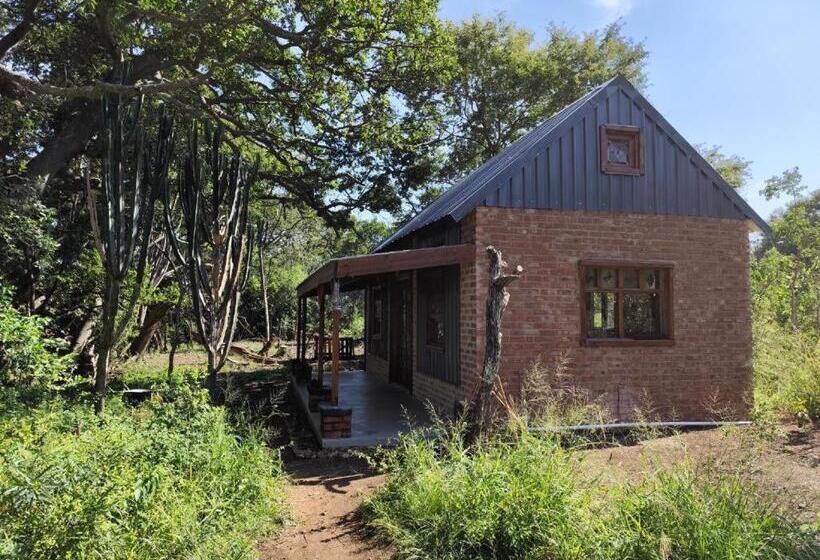 酒店 Bethesda Mountain Lodge