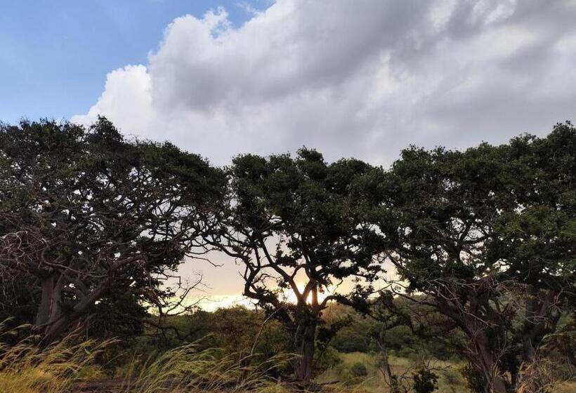 酒店 Bethesda Mountain Lodge