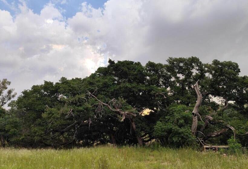 酒店 Bethesda Mountain Lodge