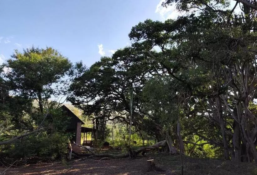هتل Bethesda Mountain Lodge
