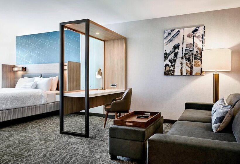 Hotel Springhill Suites By Marriott Lexington Fritz Farm