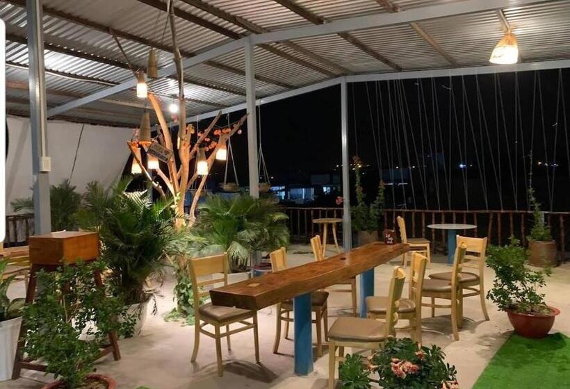 Pension Kiwi S Homestay & Cafe