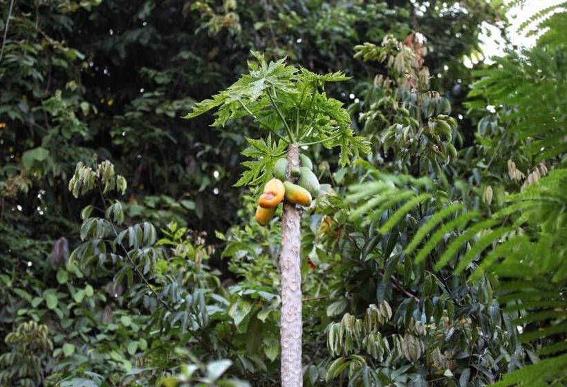 פנסיון You Ran Tai