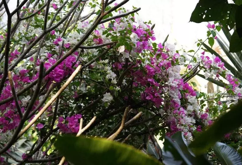 Majatalo You Ran Tai