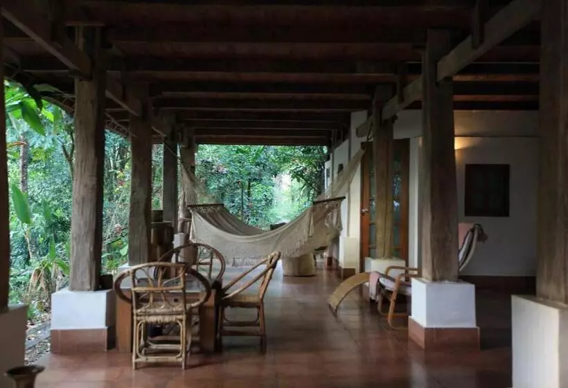 Majatalo You Ran Tai