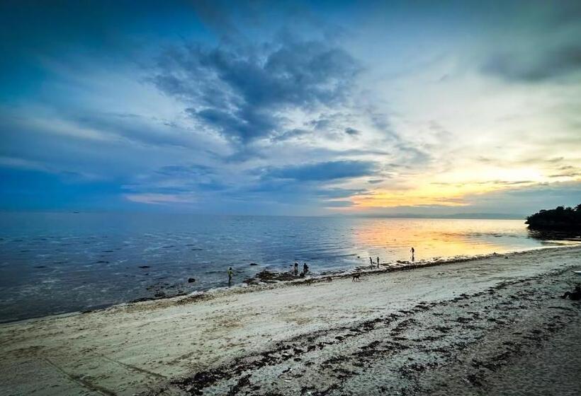 Aamiaismajoitus (B&B) Dapdap Shorelines Beach House