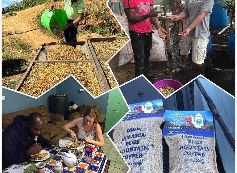 تختخواب و صبحانه J&l Mountainside Retreat Family Hq