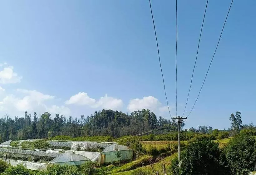 Aamiaismajoitus (B&B) Wandern Hut Home Stay