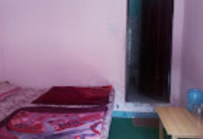 Hotel Mount Inn Badrinath Marg , Birahi , Chamoli