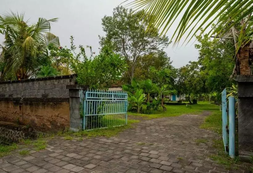 Hotelli Hepi Bungalow Lovina Mitra Reddoorz