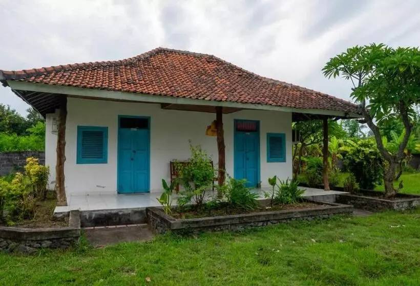 Hotelli Hepi Bungalow Lovina Mitra Reddoorz