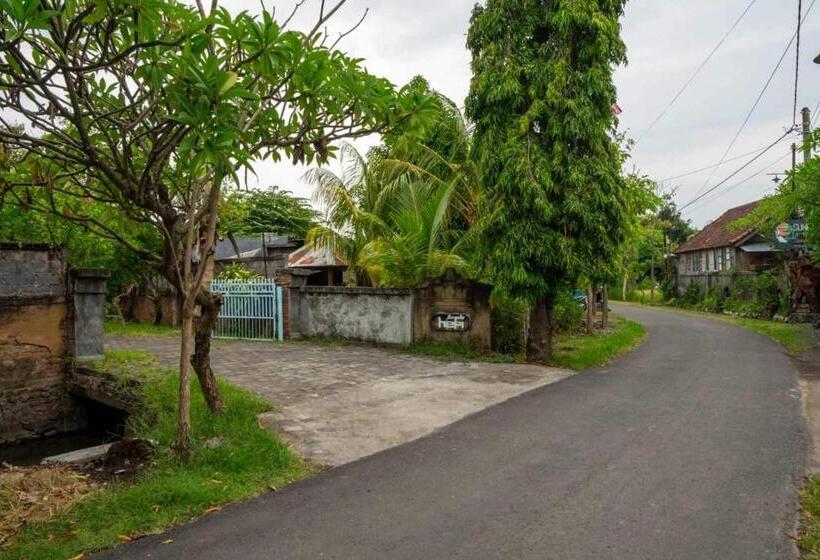 酒店 Hepi Bungalow Lovina Mitra Reddoorz