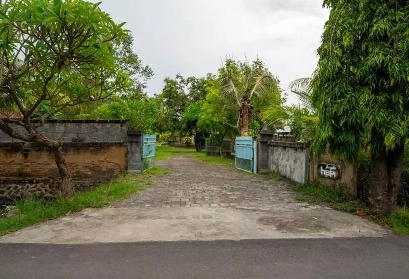 Hotelli Hepi Bungalow Lovina Mitra Reddoorz