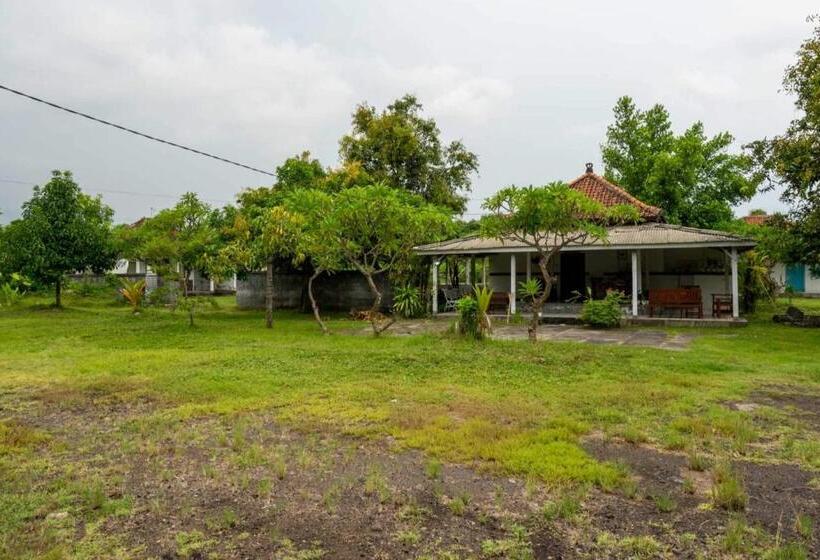 酒店 Hepi Bungalow Lovina Mitra Reddoorz