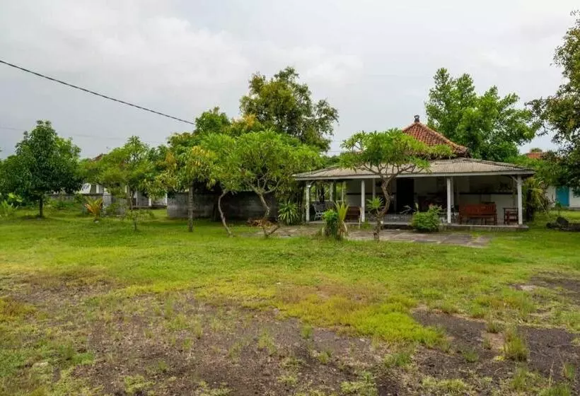 Hotelli Hepi Bungalow Lovina Mitra Reddoorz