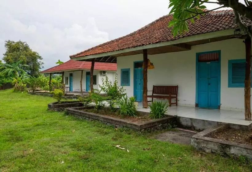 Hotelli Hepi Bungalow Lovina Mitra Reddoorz