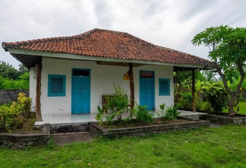 Hotelli Hepi Bungalow Lovina Mitra Reddoorz