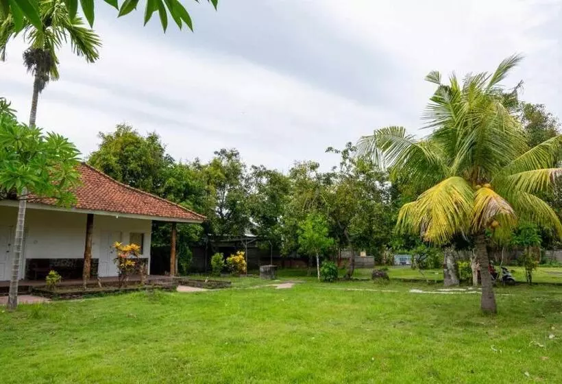 Hotelli Hepi Bungalow Lovina Mitra Reddoorz