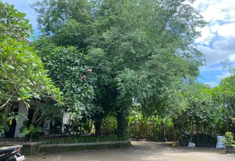 ホテル Oyo 93632 Ramasta Homestay