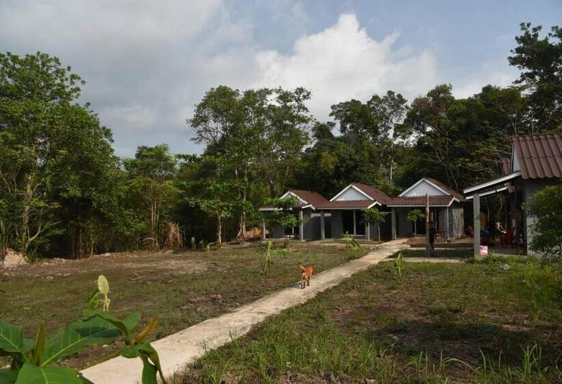 פנסיון Big Head Bungalows