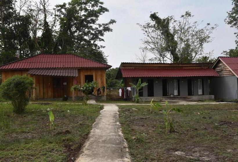 פנסיון Big Head Bungalows