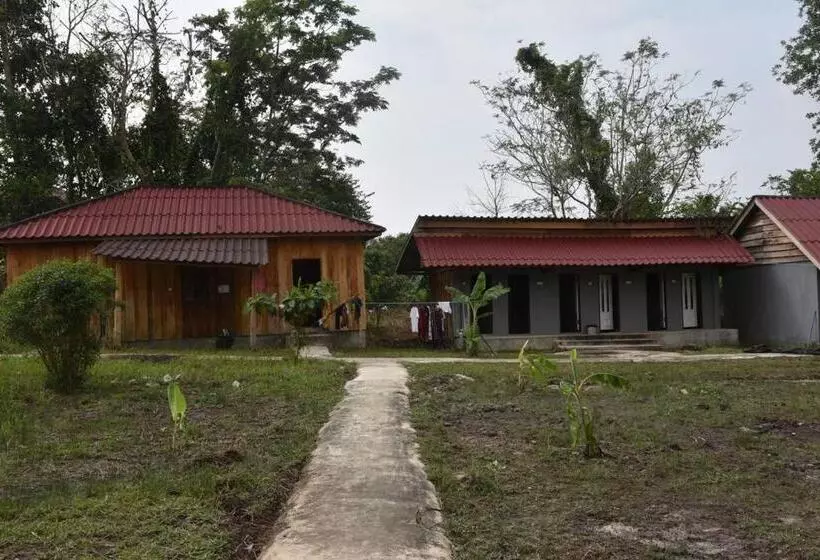 Majatalo Big Head Bungalows