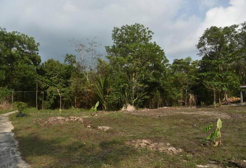 פנסיון Big Head Bungalows