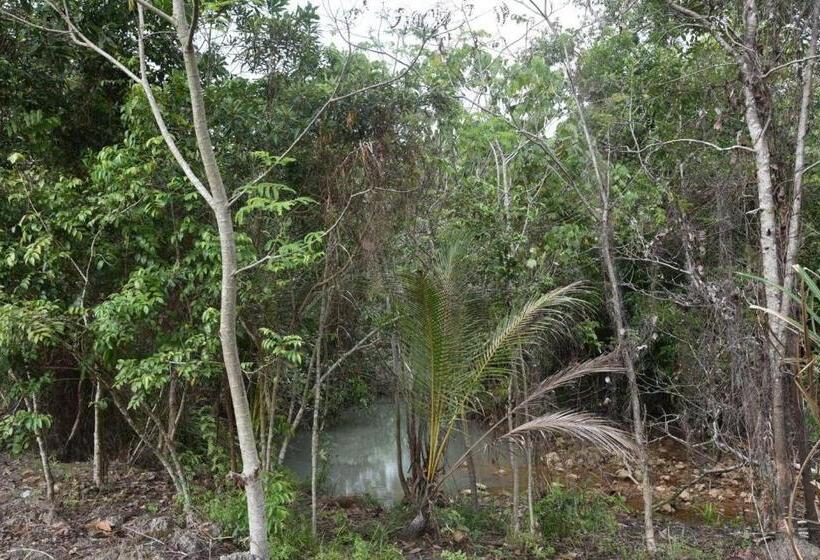 פנסיון Big Head Bungalows