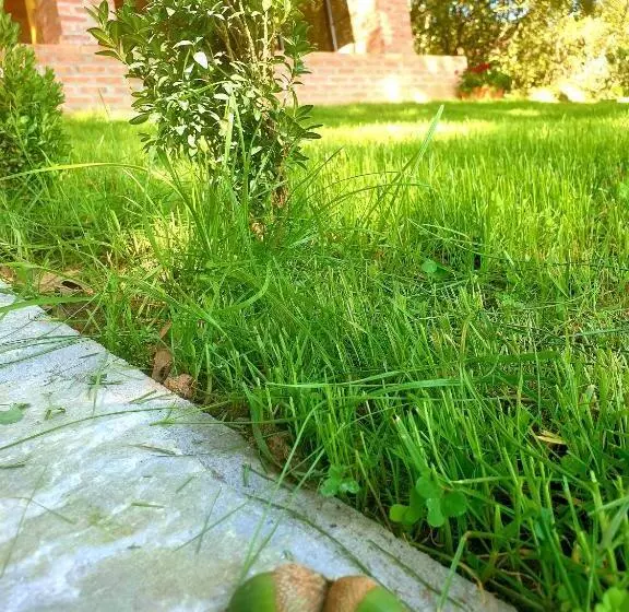 Pensiunea Casa Mircea & Restaurant