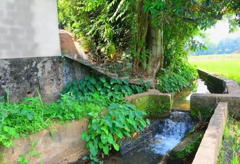 ペンション Randeniya Rest Inn Please Call Befor E Booking