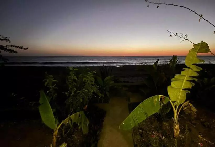 Hotelli Stella Mar Oceanfront