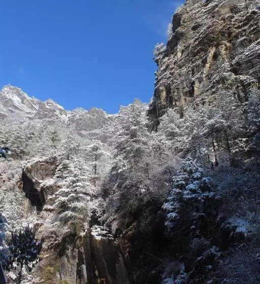 پانسیون Waterfall