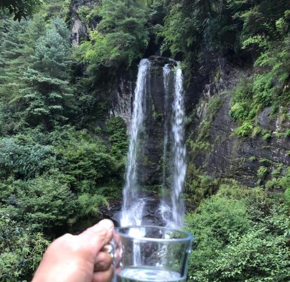 پانسیون Waterfall