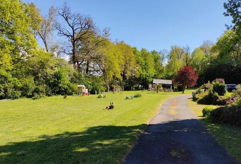 住宿加早餐 La Cifouille