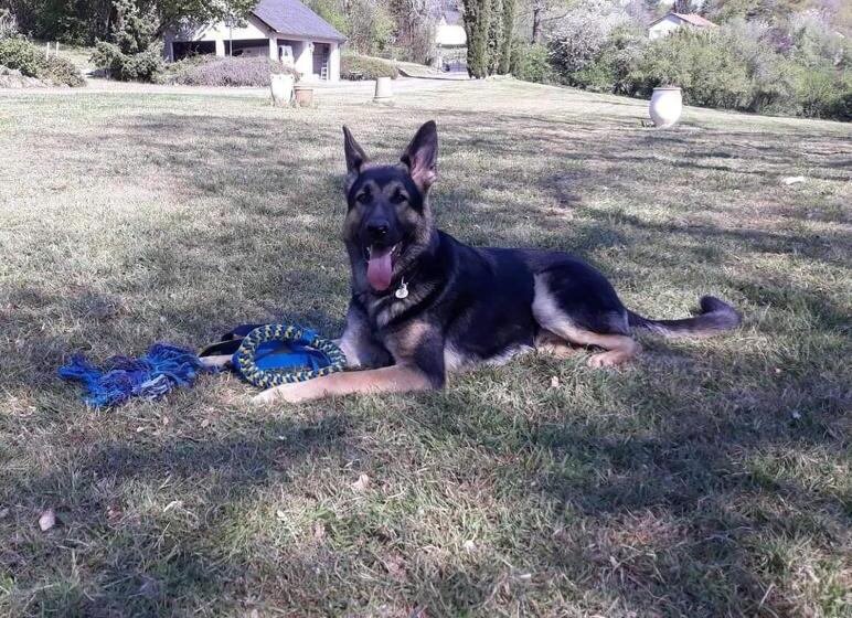 住宿加早餐 La Cifouille