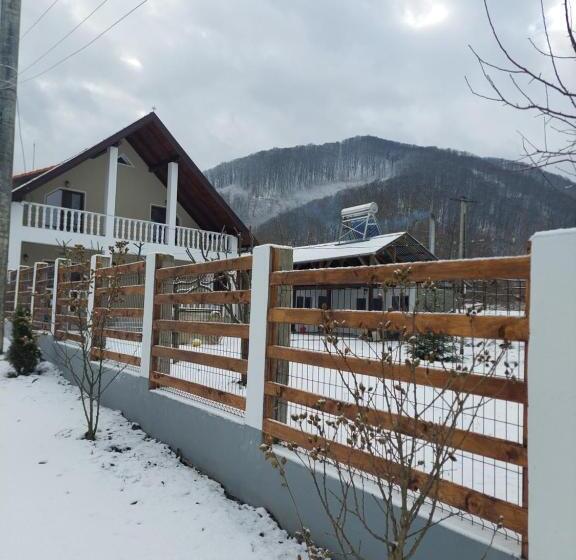 ホテル Pensiunea Agroturistica Daniel