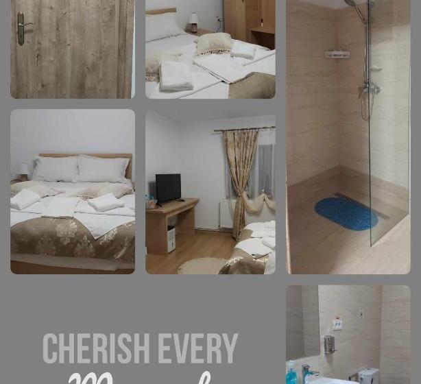 ホテル Pensiunea Agroturistica Daniel