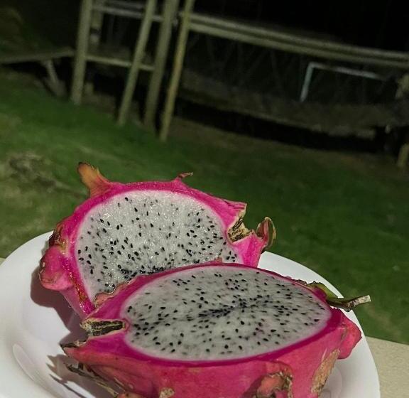 Hotell Pousada Alto Da Cachoeira