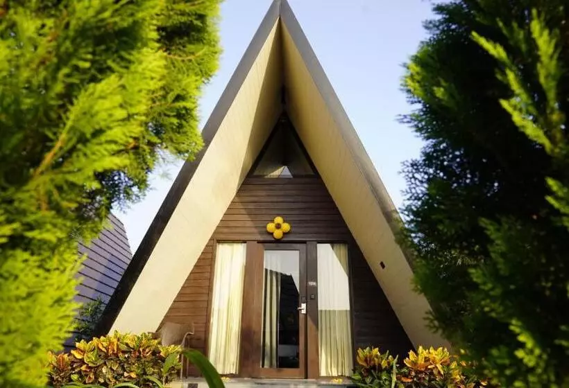 ホテル Vindhyachal Resort