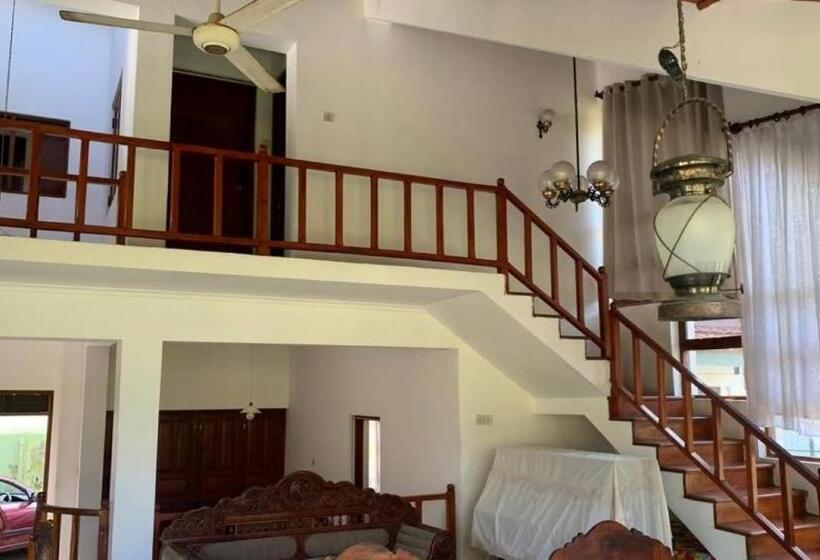 פנסיון Bellevue Retreat