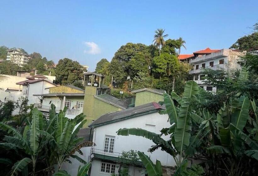 פנסיון Bellevue Retreat