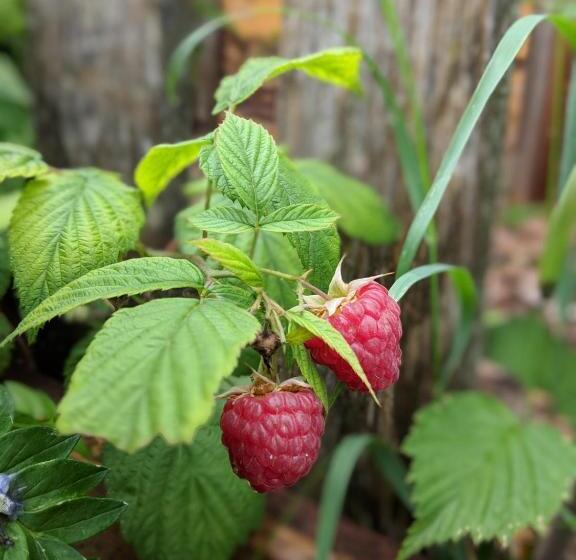 Пансион Brettmaisserhof